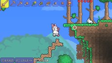 画像ギャラリー No.009のサムネイル画像 / 「テラリア」PS Vita版に“モノミ”や“トロ”の装備が追加アイテムとして収録されることが明らかに。PS3版にもパッチで配布予定