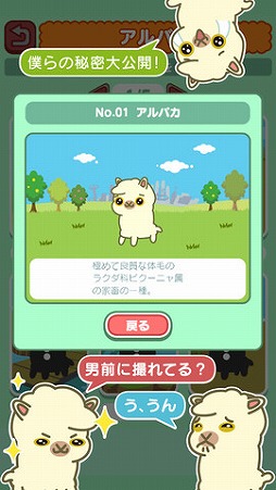 アルパカ天国