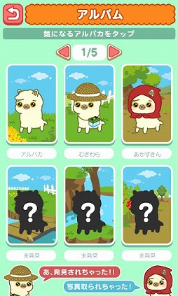 アルパカ天国