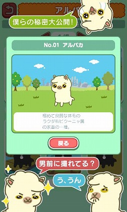 アルパカ天国