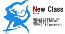 画像ギャラリー No.003のサムネイル画像 / 「碧空のグレイス」，9月から10月までのアップデートスケジュールが公開に。「新クラス」や「ペット競技場」など，各種新要素が登場だ