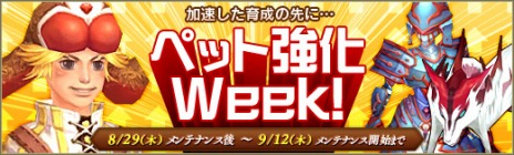 画像ギャラリー No.005のサムネイル画像 / 「碧空のグレイス」，9月から10月までのアップデートスケジュールが公開に。「新クラス」や「ペット競技場」など，各種新要素が登場だ