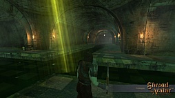 画像ギャラリー No.005のサムネイル画像 / あのリチャード・ギャリオット氏が久々の新作RPG「Shroud of the Avatar: Forsaken Virtues」を発表。Kickstarterで出資者を募集中