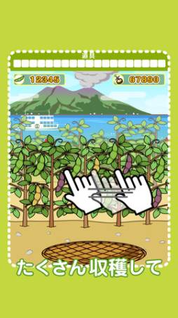 豆しばあつめ　mameshiba collect