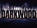 ポーランド生まれのサバイバルホラー，「Darkwood」のトレイラー公開。プレα映像ながら，妙に怖い