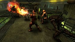 AVP: Evolution