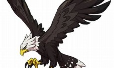 画像ギャラリー No.003のサムネイル画像 / 「イナズマイレブンGO ギャラクシー」,早期購入者特典が「秘蔵データDVD付き 雷門中卒業アルバム」に決定