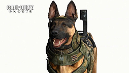 画像ギャラリー No.006のサムネイル画像 / 「Call of Duty: Ghosts」のテクノロジーデモ公開。“Modern Warfare 3”との比較で圧倒的なグラフィックス性能を確かめてみよう