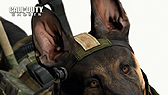 画像ギャラリー No.008のサムネイル画像 / 「Call of Duty: Ghosts」のテクノロジーデモ公開。“Modern Warfare 3”との比較で圧倒的なグラフィックス性能を確かめてみよう