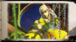 画像ギャラリー No.001のサムネイル画像 / 「戦国BASARA4」敵武将,京極マリアと足利義輝のアクションをムービーで確認。伊達政宗から届く「スペシャル年賀状」や,店頭イベントの情報も
