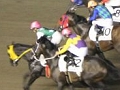 「Winning Post」シリーズ20周年を記念した冠レース「ウイニングポスト20周年記念賞」が，東京・大井競馬場にて開催