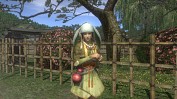 画像ギャラリー No.001のサムネイル画像 / 「信長の野望 Online」,兎や月見にちなんだイベントが9月11日から実施