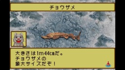 画像ギャラリー No.002のサムネイル画像 / 釣りRPG「川のぬし釣り5 〜不思議の森から〜」がバーチャルコンソールで配信開始