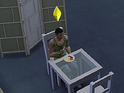 画像ギャラリー No.024のサムネイル画像 / 他人の人生を自由に遊べる「The Sims 4」をレビュー。シリーズ未経験者でも，始めるなら今がチャンスだ