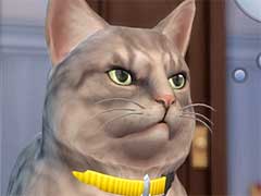 ［gamescom］「ザ・シムズ4」，ペットとの暮らしが楽しめる拡張パック「Cats & Dogs」が2017年11月にリリース