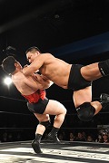 画像ギャラリー No.147のサムネイル画像 / 「リング☆ドリーム〜女子プロレス大戦〜」とDDTプロレスのコラボ興行は大盛況のうちに終了。次回開催にも期待大