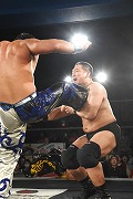 画像ギャラリー No.154のサムネイル画像 / 「リング☆ドリーム〜女子プロレス大戦〜」とDDTプロレスのコラボ興行は大盛況のうちに終了。次回開催にも期待大