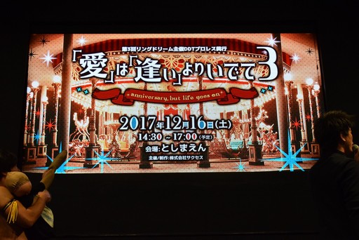 画像ギャラリー No.020のサムネイル画像 / ［TGS 2017］4Gamerブースのリングで美少女（化）選手が激突。今年も「リングドリーム」コラボ試合が行われ，第3回リンドリ主催興行の12月16日開催が発表に