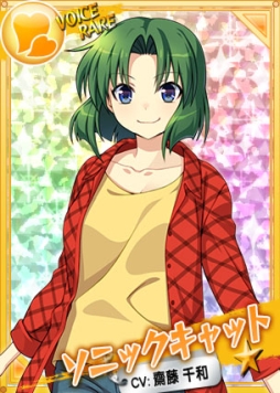 画像ギャラリー No.002のサムネイル画像 / 「リングドリーム 女子プロレス大戦」，音速ヒロイン「ソニックキャット」の新デザインが実装