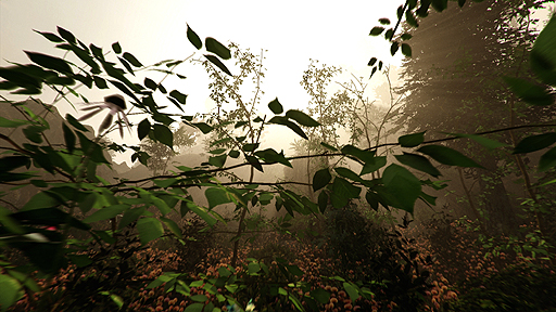 画像ギャラリー No.003のサムネイル画像 / 「Oculus Rift」対応のホラーサバイバル「The Forest」, 身の毛もよだつ最新トレイラーやスクリーンショットが公開