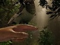  食人ミュータントの生息する孤島でサバイバルを繰り広げる「The Forest」のアーリーアクセス版が5月30日に発売
