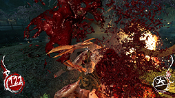 画像ギャラリー No.023のサムネイル画像 / ポーランド生まれの「Shadow Warrior」をレビュー。想定外のリメイク作品で,あの伝説の忍者マスターになるのだ