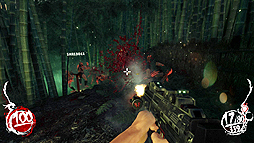 画像ギャラリー No.033のサムネイル画像 / ポーランド生まれの「Shadow Warrior」をレビュー。想定外のリメイク作品で,あの伝説の忍者マスターになるのだ
