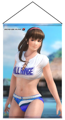 画像ギャラリー No.003のサムネイル画像 / 「DEAD OR ALIVE 5」の人気キャラクターがタペストリーで登場。予約受付開始
