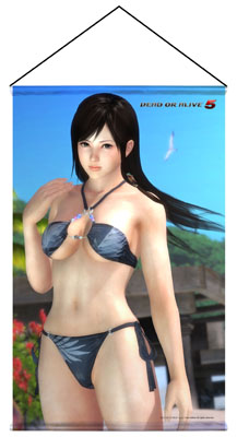 画像ギャラリー No.004のサムネイル画像 / 「DEAD OR ALIVE 5」の人気キャラクターがタペストリーで登場。予約受付開始