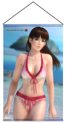 画像ギャラリー No.005のサムネイル画像 / 「DEAD OR ALIVE 5」の人気キャラクターがタペストリーで登場。予約受付開始