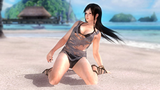画像ギャラリー No.006のサムネイル画像 / 「DEAD OR ALIVE 5 Ultimate」，PS3版向けに無料タイトルアップデート「Ver.1.04」を配信。有料DLC「トロピカルセクシーコスチューム」なども登場