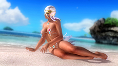 画像ギャラリー No.008のサムネイル画像 / 「DEAD OR ALIVE 5 Ultimate」，PS3版向けに無料タイトルアップデート「Ver.1.04」を配信。有料DLC「トロピカルセクシーコスチューム」なども登場