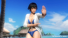 画像ギャラリー No.011のサムネイル画像 / 「DEAD OR ALIVE 5 Ultimate」，PS3版向けに無料タイトルアップデート「Ver.1.04」を配信。有料DLC「トロピカルセクシーコスチューム」なども登場