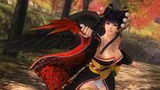 画像ギャラリー No.017のサムネイル画像 / 「DEAD OR ALIVE 5 Ultimate」で追加キャラ「フェーズ4」を使用できる権利がPS3版向けに配信。アーケード版には新キャラ「女天狗」が登場