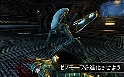 AVP: Evolution