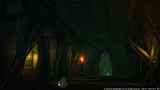 画像ギャラリー No.046のサムネイル画像 / 「新生FFXIV」，プロデューサーレターを補完するパッチ2.5「希望の灯火」の最新情報が公開。約10分におよぶ紹介トレイラーも