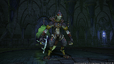 画像ギャラリー No.049のサムネイル画像 / 「新生FFXIV」，プロデューサーレターを補完するパッチ2.5「希望の灯火」の最新情報が公開。約10分におよぶ紹介トレイラーも