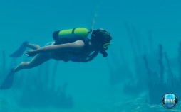 画像ギャラリー No.003のサムネイル画像 / スキューバーダイビングシミュレータ「World of Diving」のトレイラーが公開に