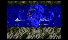 画像ギャラリー No.003のサムネイル画像 / ニンテンドー3DS専用ソフト「3D エコー・ザ・ドルフィン」が6月26日に配信決定。立体視や新モードなど新たな要素が追加に