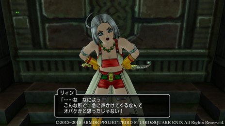 画像ギャラリー No.007のサムネイル画像 / 新しい冒険の舞台は本の中？ MMORPG「ドラゴンクエストX　いにしえの竜の伝承　オンライン」の大型アップデートが近日中に実施
