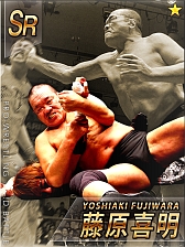 画像ギャラリー No.008のサムネイル画像 / 実名レスラーは100人以上。「激闘!!プロレスカードバトル」,GREEで配信開始
