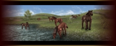 画像ギャラリー No.011のサムネイル画像 / スマ―トフォン向けのMMORPG「The Ring of the Dragon」，Google Playで本日配信開始。「掴み」「カルマシステム」など，こだわりのシステムが特徴だ