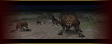 画像ギャラリー No.012のサムネイル画像 / スマ―トフォン向けのMMORPG「The Ring of the Dragon」，Google Playで本日配信開始。「掴み」「カルマシステム」など，こだわりのシステムが特徴だ