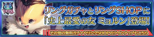 画像ギャラリー No.003のサムネイル画像 / 「チェインクロニクル3」,“ヒロイックフェス”が本日スタート