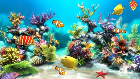 画像ギャラリー No.002のサムネイル画像 / 【7月8日のiOS向けアプリセール情報】水槽の熱帯魚や珊瑚を眺めて楽しめる「Sim Aquarium 3D」が無料で配信中