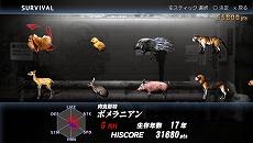 画像ギャラリー No.002のサムネイル画像 / 「TOKYO JUNGLE Mobile」がPlayStation Mobileにて配信開始。7月16日まで300円で購入できるキャンペーンもスタート