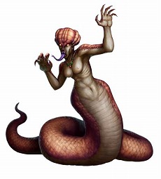 画像ギャラリー No.015のサムネイル画像 / 「ドラゴンズドグマ クエスト」，パズドラとのコラボが3月10日にスタート