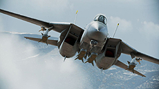 画像ギャラリー No.009のサムネイル画像 / 「ACE COMBAT INFINITY」のオープンβテストが本日スタート。βテスト予告トレイラー第3弾が公開，公式サイトには「公式アンケート」「ご意見箱」設置