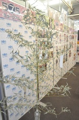 画像ギャラリー No.010のサムネイル画像 / 「うた組み575」の体験会と「project 575ミュージアム」の模様をレポート。プロデューサー森本兼次郎氏とディレクター吉永 匠氏の合同インタビューも掲載
