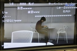 画像ギャラリー No.019のサムネイル画像 / 約800頭の頂点が決定。つばめちゃんへの愛も試された,3DS「ソリティ馬」公式大会「第2回ゲーフリカップ」ファイナルカップレポート